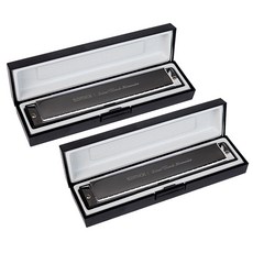 samick 三益樂器 顫音口琴 STH-24DE 2p, 銀