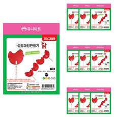 Uniart 雞的成長過程製作套組 DIY289, 混合顏色, 1套