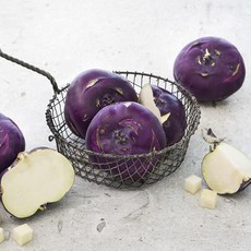 콜라비, 2300g(5입), 1봉