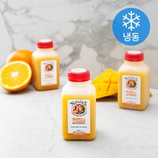 나탈리스 오렌지 망고 착즙 주스 (냉동), 250ml, 3개