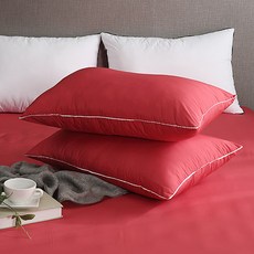 아임리빙 AG 프리미엄 기능성 호텔식 베개커버