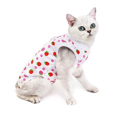 HEALING TIME BTOB 貓咪手術服, 1個