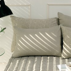 SCOHome YOLO365系列 雙面枕頭套 + 枕芯組合