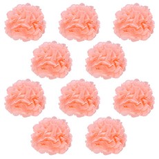 리빙다 꽃모빌 10p, 피치