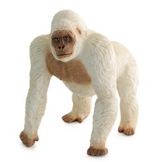 螢火蟲軟動物大猩猩圖, 1入