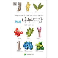 手冊 樹木圖鑑(手冊)：收錄286種樹木的花 葉 果實 樹皮 冬芽 樹形, 樹與文化研究所, 李光萬,蘇敬子 著