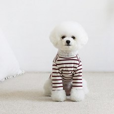 Woolly 狗聖 t 卹, 1件