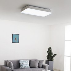 Daboye LED 簡約室內燈 30W, 白色+晝光色