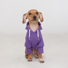 浮力標準連帽狗狗衣服, 紫色的