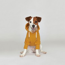 浮力標準連帽狗狗衣服, 黃色的