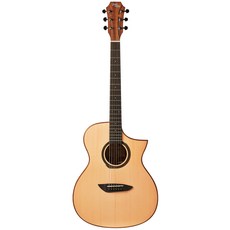 고퍼우드 어쿠스틱 기타 + 기프트리스트, G220CE, 혼합색상, 1개