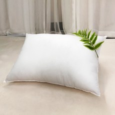 Azio Tex與眾不同的純棉棉枕 2入, 單色, 1組