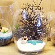 Mine Aqua Long Round 200 白色海洋魚缸套組, 混色