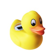 카스 탕온계 아기오리 T6, 혼합색상, 1개