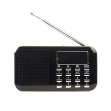 텐교 효도 라디오 스피커, SP-209, 블랙