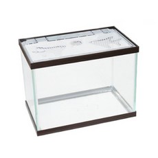 魚缸, Walnut, 1入