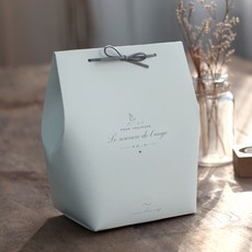 디비디 마인 선물박스, Mint, 5개