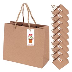 牛皮紙購物袋 + 康乃馨吊牌, 混合顏色