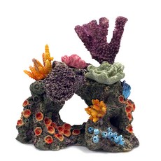 珊瑚魚缸裝飾, 1個