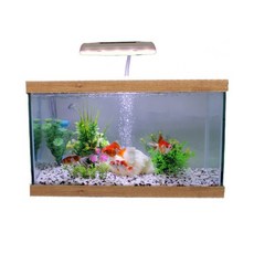 Cheonil Sam Aqua 新手用金魚魚缸全套組, 混合顏色, 1個