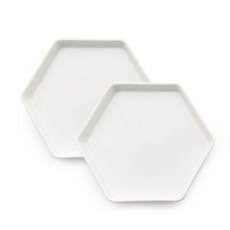 PRELUDE Neobone 六角盤 2入, 單一顏色