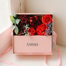 Aspasia 多肉香皂花 零用錢盒+零用錢袋+購物袋, 紅色