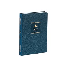 Ganesh 5年後的夢想日記AE, 深藍