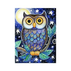 KMELLIE 鑽石畫 3D 星光貓頭鷹 40 x 50 cm, 混合顏色, 1套