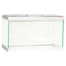 Sam Aqua 方形擠壓魚缸, 白色的
