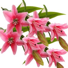 Block Mart 人造百合花 4入, 粉紅色, 4個