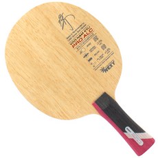 NEXY Yoo Namkyu Pro ALC桌球拍 FL款, 單品