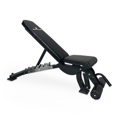헬스프라자 각도조절 벤치 AB2, 블랙