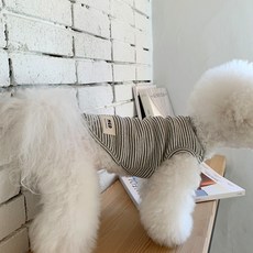 MAGDOG 狗狗Loopy條紋無袖T恤, 灰色