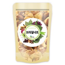 신영 프리미엄 브라질너트 완태, 1kg, 1개