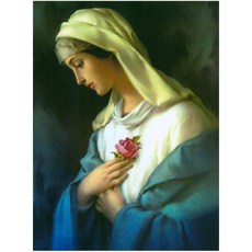 JoyJasu 11CT 十字繡印花套裝 290701 聖母瑪利亞, 1套, 混合色