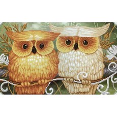Joy Cross Stitch 11 計數 Cross Stitch 打印包裝套組 180303 快樂貓頭鷹, 1套, 混色