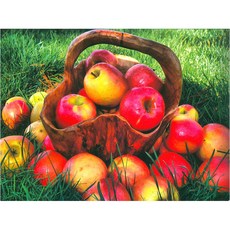 Joy十字繡 11針十字繡 印花包組 290901 財富蘋果, 1套, 混色