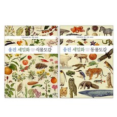 웅진 세밀화 동물도감 + 식물도감 보급판 세트 전 2권, 호박꽃