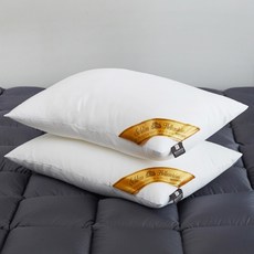 HELLENSTEIN 枕頭 2入, 白色, 2個