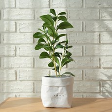 ASPASIA 人造假花盆栽, 混色, 1套