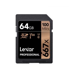 렉사 SDXC 667배속 UHS-I SD카드, 64GB, 1개