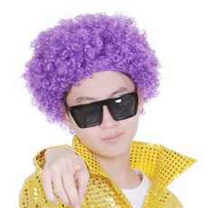 파티공구 삐에로 가발 2p, 퍼플