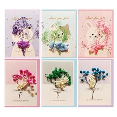 2000 乾燥花卡片 + 信封 6款組 V21-1, 混合顏色, 1套, 6個