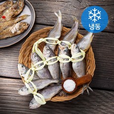 법성포 역걸이 굴비 10미 (냉동), 550g, 1개