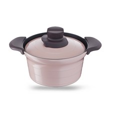 Tefal 特福 電磁爐湯鍋, 20cm, 1個