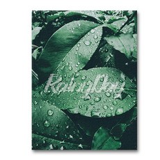 小清新感性 帆布印刷畫框 植物系 SSO-04