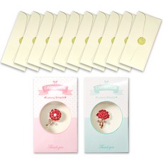 康乃馨感謝胸針 2款 + 奢華珍珠零用錢信封 10入, 柔和奶油色, 1套