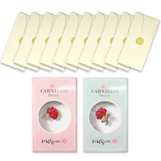 康乃馨愛心胸針 2款 + 奢華珠光零用錢信封 10入, 柔和奶油色, 1套