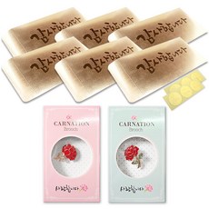 康乃馨愛心胸針 2款 + 金色零用錢信封 6入, 感謝您, 1套