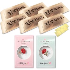 康乃馨愛心胸針 2款 + 金色零用錢信封 6入, 祝您健康, 1套